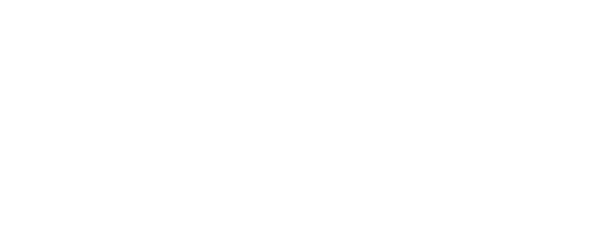 2025 Miss New York USA logo