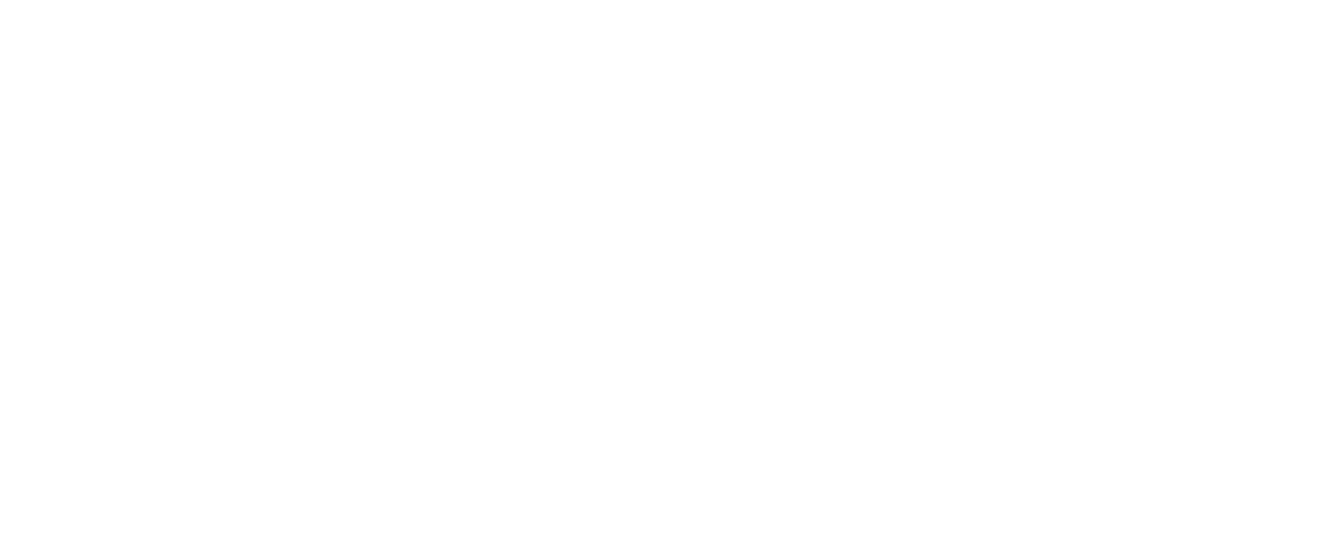 2025 Miss North/South Carolina USA Logo