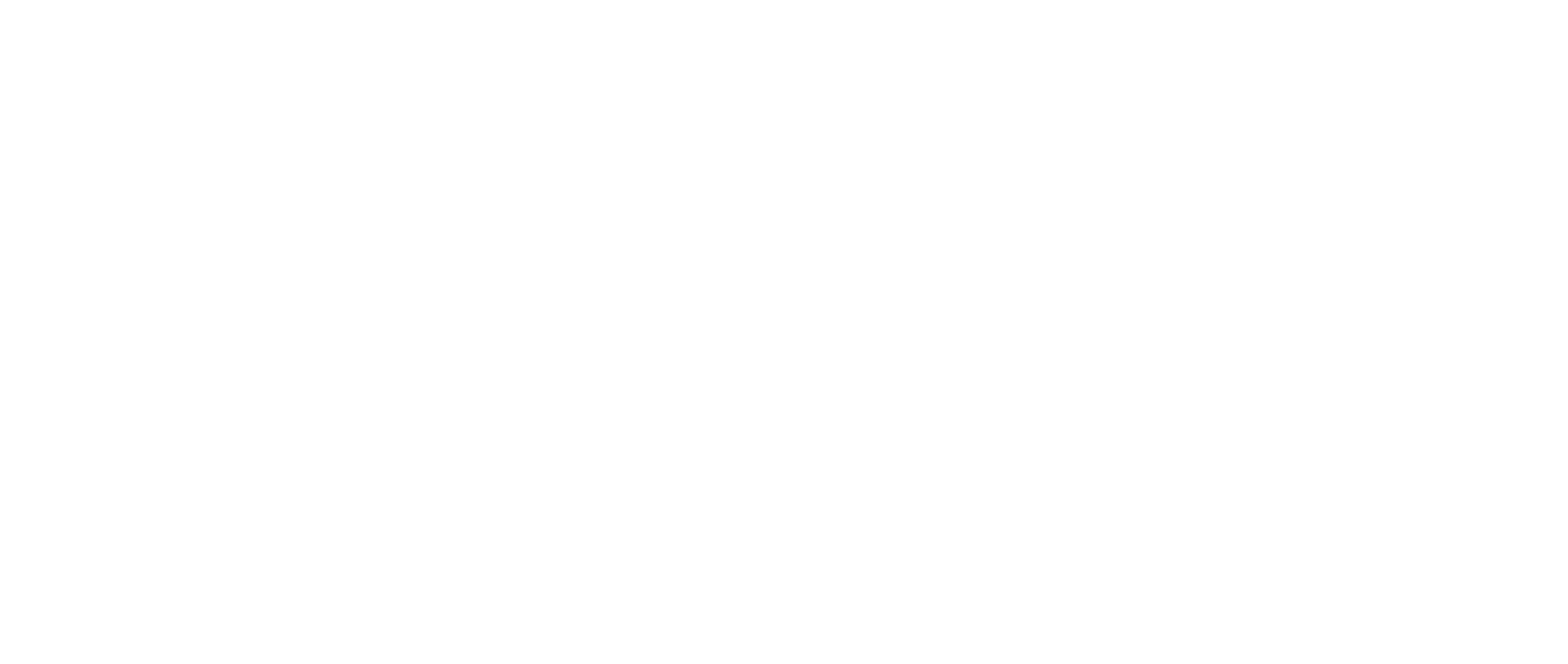 2026 SC/NC High School America Logo