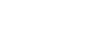 2026 Miss Virginia logo