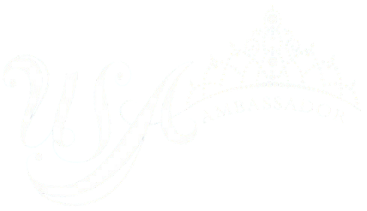 2026 USA Ambassador - Optionals and Everyday Wear (Preteen, Jr. Teen, Teen) logo
